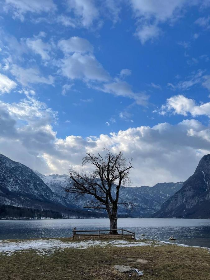 Remarkable Home Bohinj Lake Exterior photo